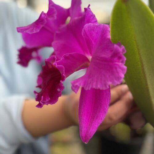 1736314002321-1536x2048