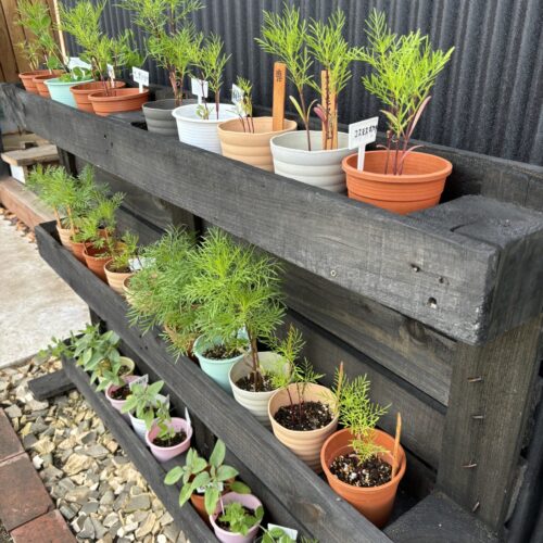 1736314021378-1-1532x2048